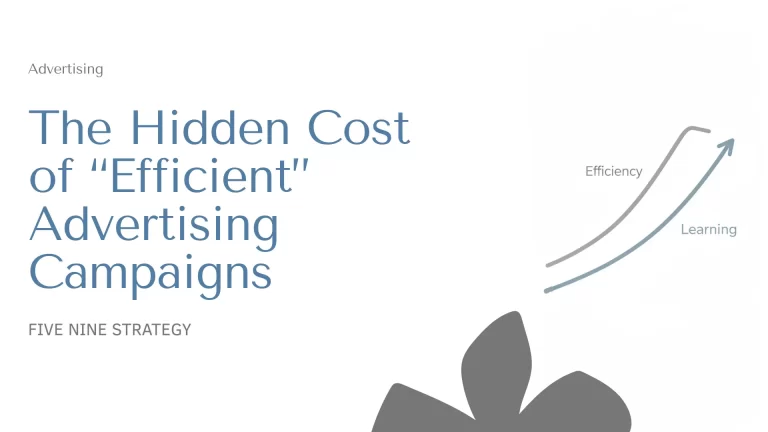 The Hidden Cost of “Efficient” Advertising Campaigns cover image